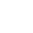 icon shape