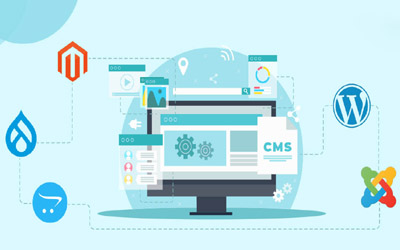CMS Development Services